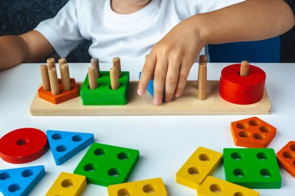 Montessori Ne Demek? Eğitimde Montessori Yaklaşımı ve Çocuk Etkinlikleri